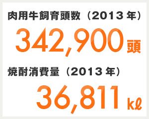 鹿児島県の日本一